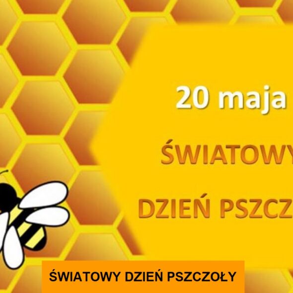 Światowy Dzień Pszczoły