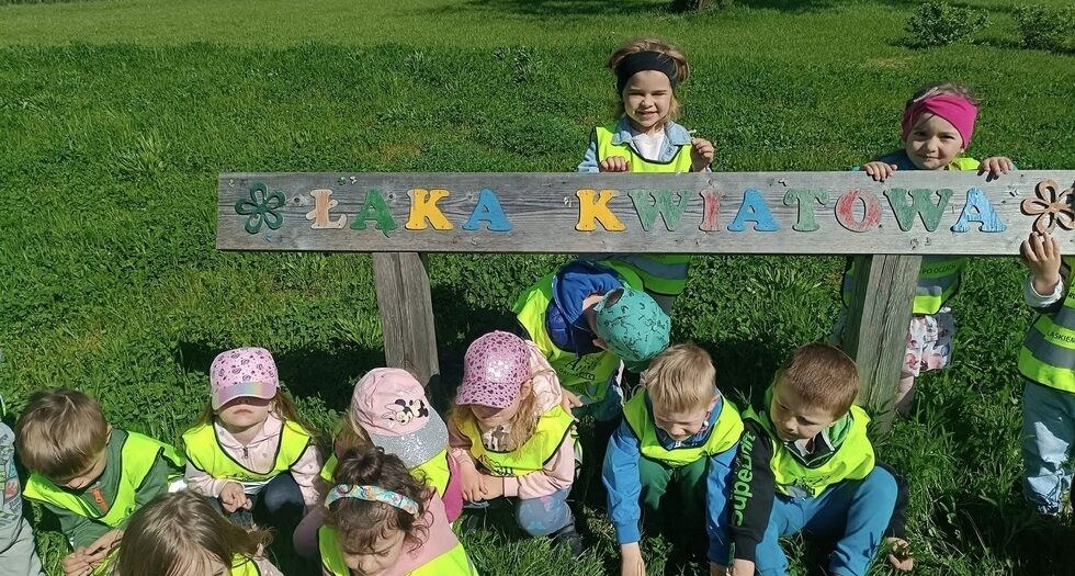 W poszukiwaniu owadów