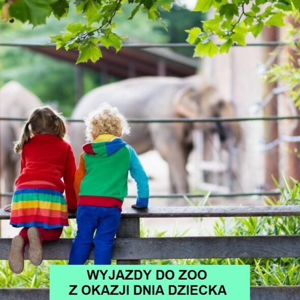 Wyjazdy do zoo z okazji Dnia dziecka