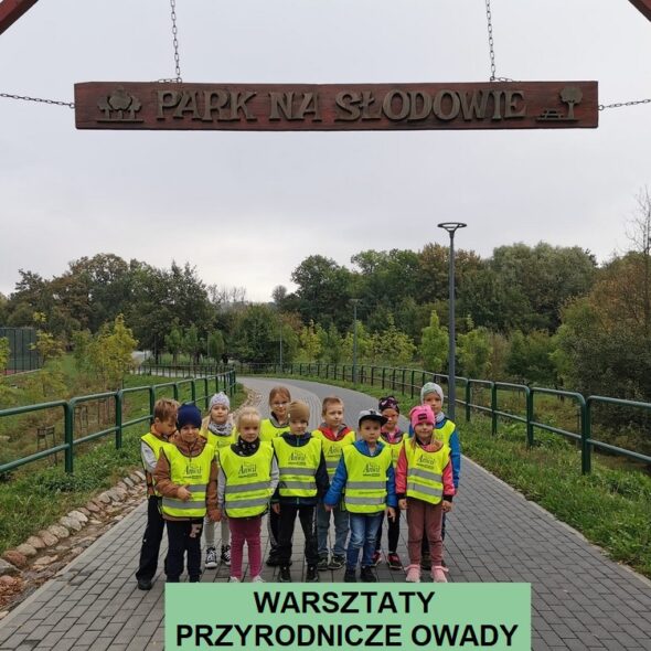 Warsztaty przyrodnicze "Owady"