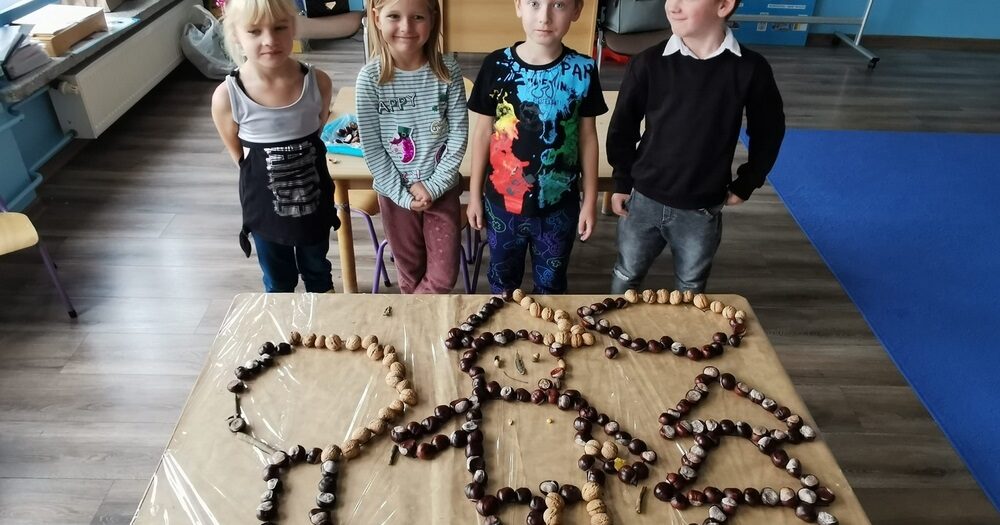 Zajęcia przyrodnicze - Fundacja Anwil