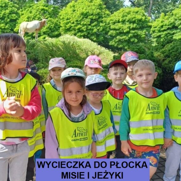 Wycieczka do Płocka