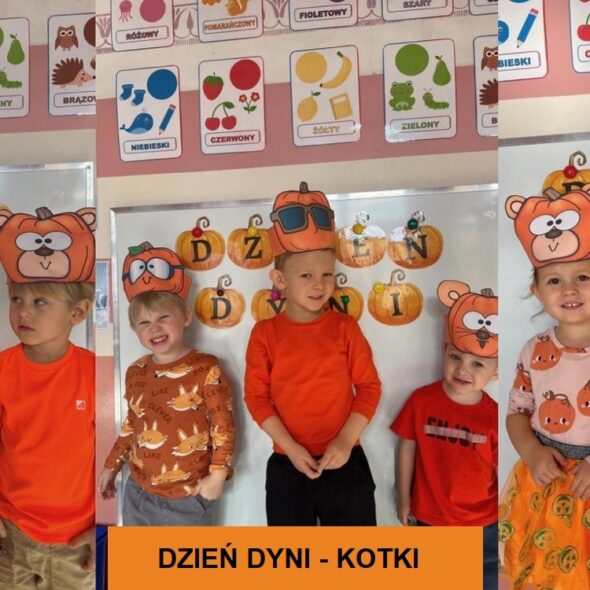 Dzień Dyni - Kotki
