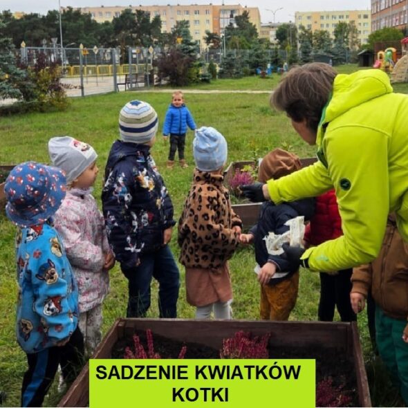 Sadzenie kwiatków
