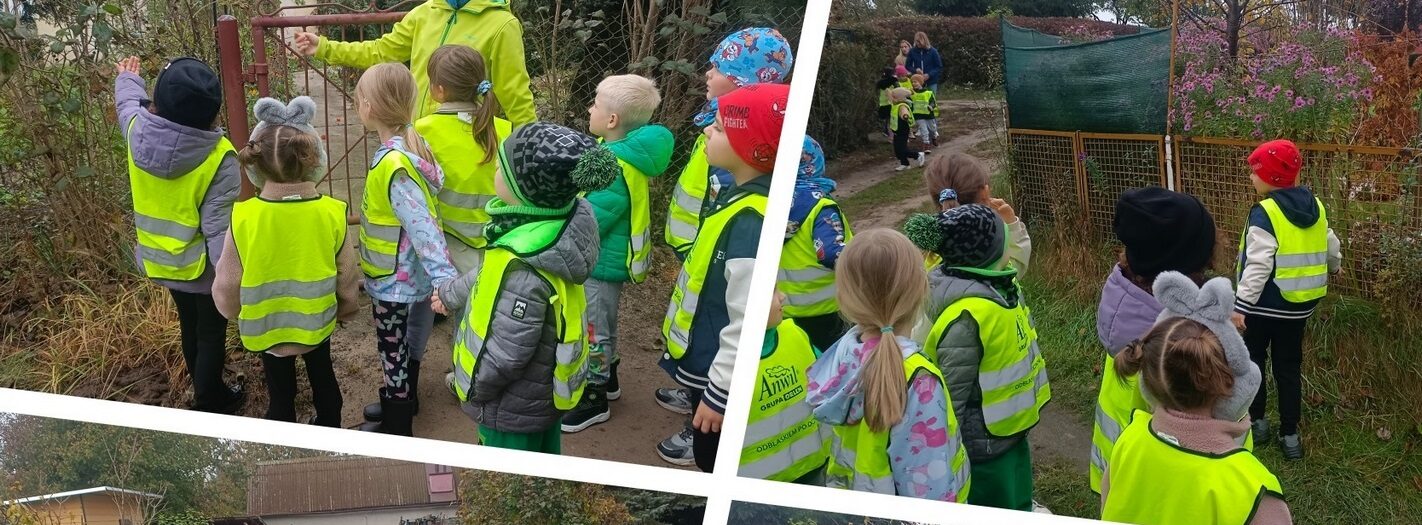 Wycieczka do ogrodów działkowych - Dinusie