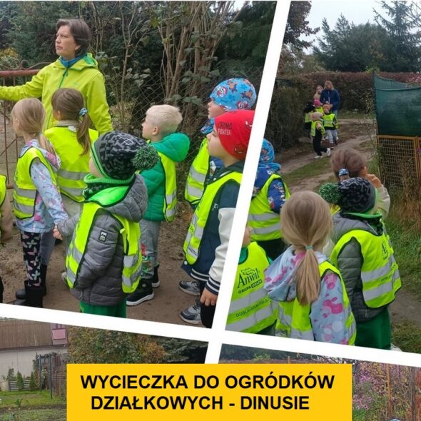 Wycieczka do ogrodów działkowych - Dinusie