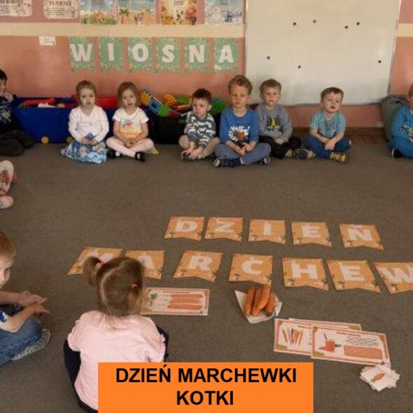 Dzień Marchewki - Kotki