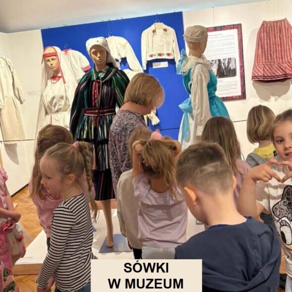 Sówki w muzeum