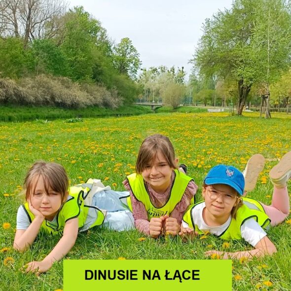 Dinusie na łące