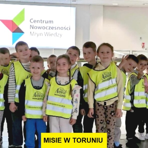 Misie w Toruniu