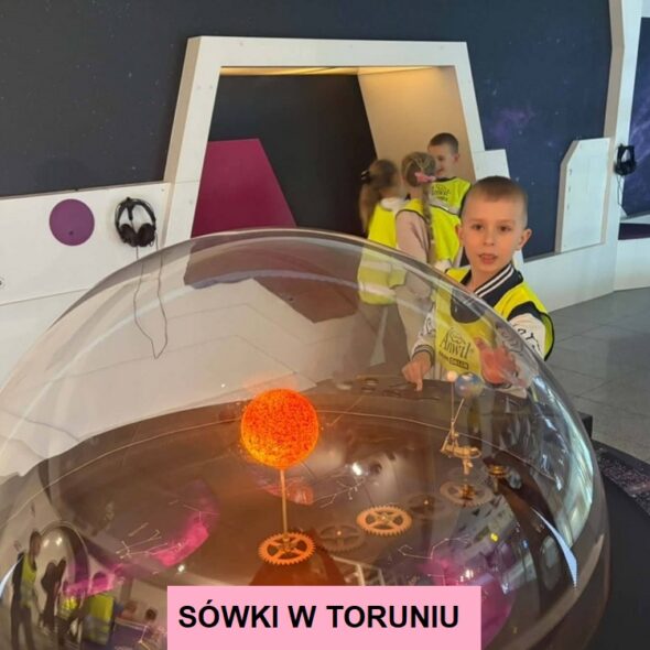 Sówki w Toruniu